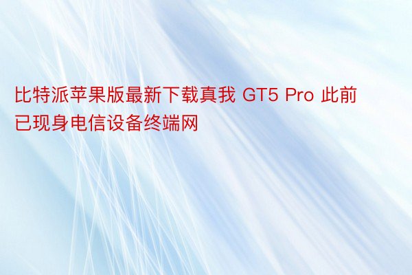 比特派苹果版最新下载真我 GT5 Pro 此前已现身电信设备终端网