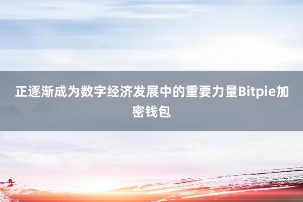 正逐渐成为数字经济发展中的重要力量Bitpie加密钱包