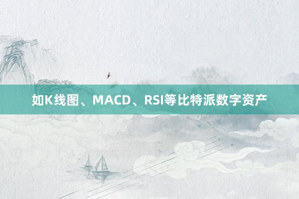 如K线图、MACD、RSI等比特派数字资产