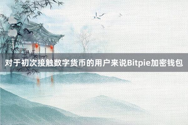 对于初次接触数字货币的用户来说Bitpie加密钱包