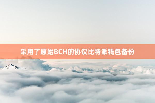 采用了原始BCH的协议比特派钱包备份