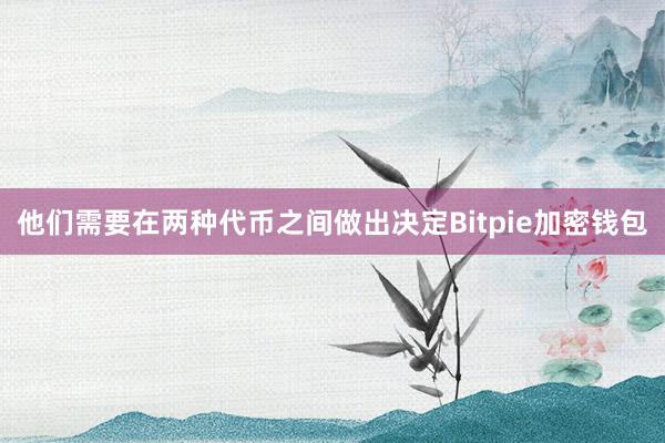 他们需要在两种代币之间做出决定Bitpie加密钱包