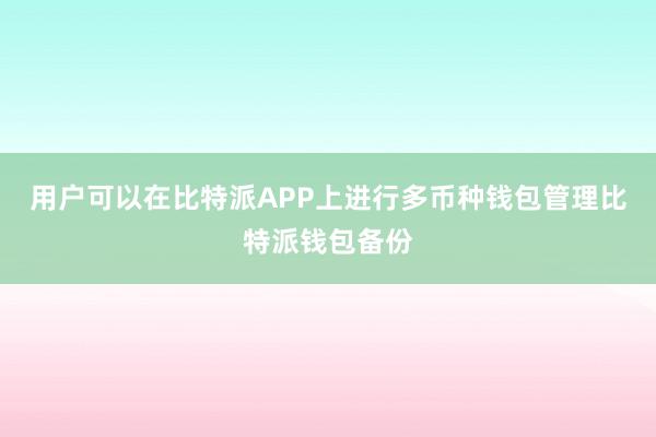 用户可以在比特派APP上进行多币种钱包管理比特派钱包备份