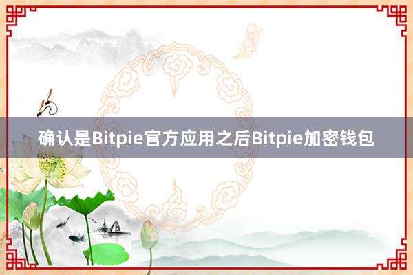 确认是Bitpie官方应用之后Bitpie加密钱包