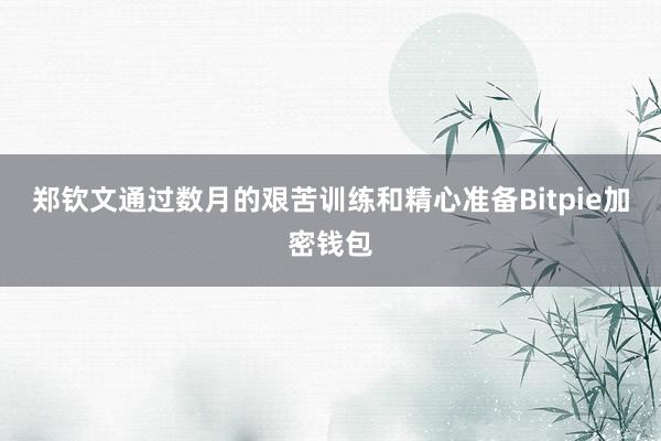 郑钦文通过数月的艰苦训练和精心准备Bitpie加密钱包