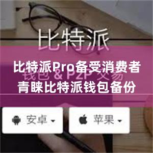 比特派Pro备受消费者青睐比特派钱包备份