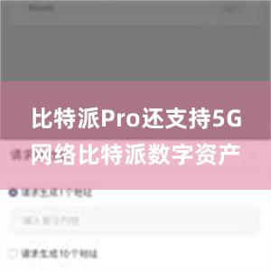 比特派Pro还支持5G网络比特派数字资产