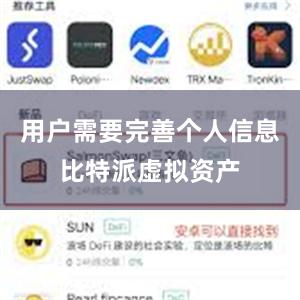 用户需要完善个人信息比特派虚拟资产