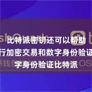 比特派密钥还可以帮助用户进行加密交易和数字身份验证比特派